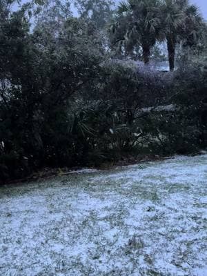 Florida snow 2025. Isabelle was so thrilled considering she was a baby the last time she saw it. Natures blessing. ❄️ #fyp #floridasnow #snowinginflorida #florida2025 #january2025 #floridawinter #northflorida #snow 