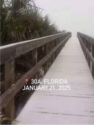 ❄️ Snow On The Beach 🏝️ #florida #teammalimar #snowonthebeach #i #snowday #historytok #witness 🤯 #history #mindblow #endtimesigns #fypシ゚viral #viralpost #trendingtok #trending #viralvideo #fypdongggg #taylorswift #mindblown #shocked #icantbelieveit #wow #yaheardme #snowstorm #snow #snowing #fyp #snowinflorida #2025 #shooketh 