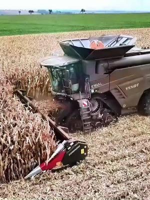 corn harvest #corn #harves #agricultural #machinery