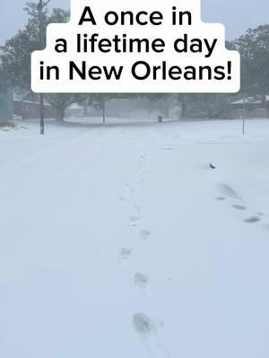 Yesterday was a once in a lifetime day in New Orleans! //// We are now a licensed tour company and offer several driving tours around New Orleans every day! Join us on an adventure! DM us for more info! #bigeasy #louisiana #exploreneworleans #showmeyournola #onetimeinnola #followyournola #itsyournola #theneworleanslifestyle #visitneworleans #nolalove #nolalife #onlyinneworleans #experienceneworleans #frenchquarter #visitnola #wheninnola