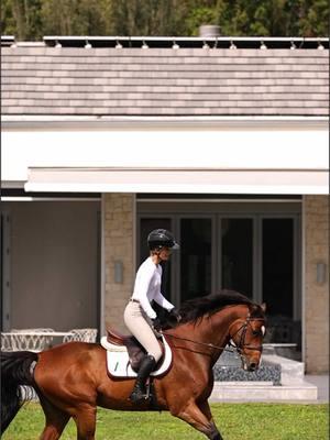 Classic White is just so ✨classic✨ @Ibach Media | Create & Connect #heyathletes #fyp #ROOTD #TKEQ #equestrian #horsegirl #hunterjumper #horsesoftiktok 