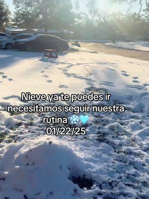 ❄️❄️❄️❄️❄️❄️ #nieveentexas🤭❄️❄️ #nieve #Texa #snow #tormentainvernal #frezzer #enero #snow #❄️ #Texa #artico 