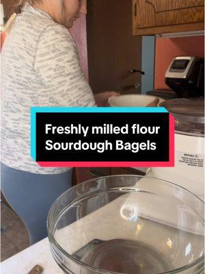 Freshly milled flour sourdough bagels #BakeWithMe #sourdough #freshlymilledflour 