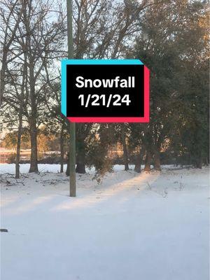 Time lapse of our snowfall in Hazlehurst Georgia. My inner child is so happy right now. It’s absolutely beautiful ❄️ #CupcakeLady #CupcakeLadyOfTiktok #Snow #Georgia #Hazlehurst #Beautiful 