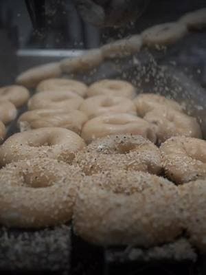 We're back open! Come get a warm bagel and a hot coffee. If you're still without power, you can also charge your devices here. Stay warm and we'll see you soon! 3 *@amari_and_co /@natalie.j.photography #warmbagels #hotcoffee #staycozy #communitylove  #jerseybagels #postfreezeessentials #chargeupandchill  #JerseyBagels #jerseyvillagetx #CypressTexas  #bagellove #bagelandcoffee 