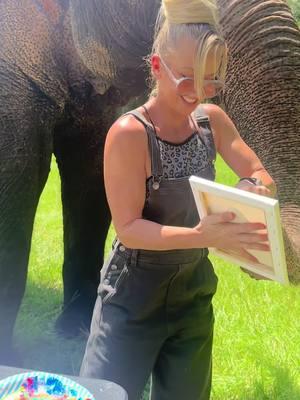 Making elephant kisses!! #elephant #animal #animallover #tiktok #animalsoftiktok #savethrspecies #SaveTikTok #mybestfriendisanelephant #animallove #interspeciesfamily 