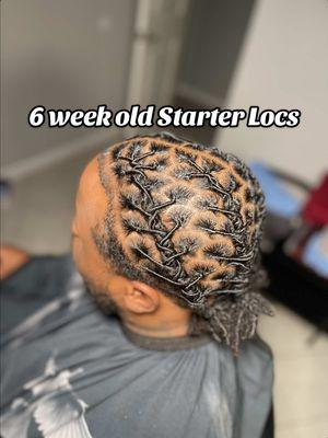 6 week old Starter Locs update🤩 Classes available for this technique‼️ New Houston Stylist🫶🏽💫 Follow for more loc tips⚜️ January  appointments available✨ Instore pickup & Website coming soon @scalpspices  LOCATION:📍Houston,TX . (Booking Link In Bio) . . . .  ###houstonlocs##jereamuse##houstonstarterlocs##locextensionshoustonhoustonlocticianstyles 