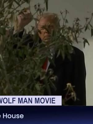 President Trump on Wolf Man 🐺 #edited #comedy #cheapfake 