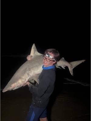 Florida Man Carries Shark Home With Him ⁉️ #t#thefishermengf#fishings#sharks#sharkfishingb#beachlifes#sunrisel#lbsfl#landbasedsharkfishingb#blacktipb#blacktipsharkh#hammerheadf#floridafishingb#bigsharks#sharkattackb#beachsharkfishingf#floridasharkfishingf#floridasharksb#bullsharkh#hammerheadsharkw#westpalmbeachs#swellpros#swellprodrones#sportfishingl#landbasedsharkfishingb#beachm#massivesharkU#USAa#americanb#blacktipf#floridas#sharkattackpenn 