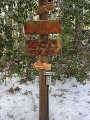 Snow day! #campaya #snow #florida #floridasnow #winter #floridacheck #cold #plants #bamboo #palmtree #gate #signs #madebyme #DIY #art #propertyowner #femaleowned #ayaplaya617 #foryou #foryoupage #fyp #fypシ 