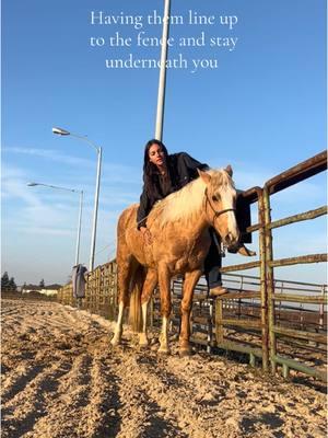 If you don’t have a horse to pony off of this is a great exercise to do! Or even if you do🤷🏽‍♀️ - #horse #mustang #wildhorse #cowboy #cowgirl #horsetraining #coltstarting #equestrian #ranch #western 