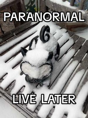 Snowday Paranormal Live later… Frozen cat watches haunted house! Bloody Mary front porch snow day view! Ghost hunt tonight! Live later today! #ghosthunting #paranormal #Hauntedhouse #mosthaunted #ghostadventures #neworleans #nola #voodooqueenbloodymary #creepy #soooky #fy