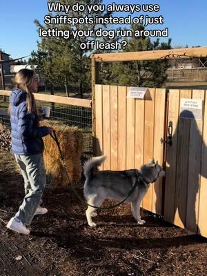 Some dogs just can’t be trusted without a 6 ft. tall fence perimeter. That’s where we come in ✨🐾 #sniffspot #PetsOfTikTok #dogparks #offleash #recall  