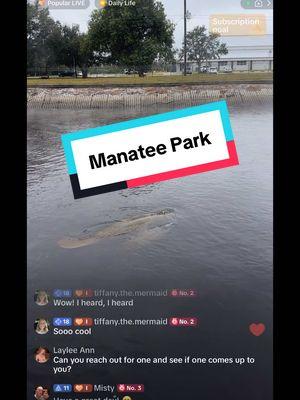 What a morning!! #manateepark #manatees #floridacheck #seacows #MomsofTikTok #WomenOfTikTok #mentalhealthmatters #nature 