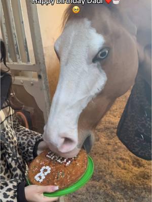 Is my horse 8th birhdayyy🥹🥰🫶🏽🎂❤️ tanti auguriiiiiii Amore mio ❤️❤️❤️ #loveyou #happybirthday #pov #foryou #perte #pati #cumpleaños #compleanno #cavallo #cavalli #horses #caballos #gunner #reining #horsesontiktok #quarterhorse 