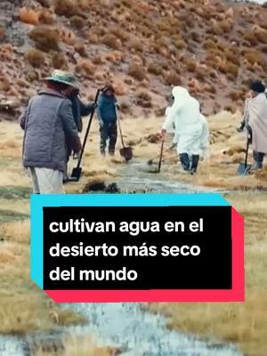 Cultivan agua en el desierto más seco del mundo 🌎  #desierto #sostenible #ecologico #mundo 