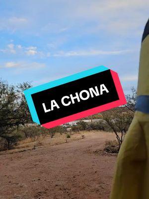 #lachona #lachonachallenge #lachonaoficial #lostucanesdetijuana #Illumination #lunation #moonation  #oneineaminionnation #Entertainment #UniversalPictures #fyp #parati #foryou #foryoupage #fypシ #fy #funny #celebrity #celebridad #famous #famoso #foryourpage #fypage #foru #tiktok #viral #minions #minion #despicableme #minionstyle #minionslove #minionlove #minionsparty #minionsmovie #minionlover #minionstuff #minionlovers #minionstory #disney #iloveminions #minionsworld  #banana #bananas #platano #platanos #loveminions #minionslover #minionstuart #minionkevin #minionbob #utah #arizona #chicago #mexico #tiktok #miniontiktok #minionssquad💫 #Bob #Stuart #kevin #minionstuart #stuartminion #Bobminion #minionbob #minionkevin #kevinminion #minionsquad #baile #baila #dance #dancing #happy #feliz #comedy #comedia #foryou #parati #fyp #fypシ #fypシ゚viral #fypfypfyp #tiktok #tiktoker #latino #mexicano #mexico🇲🇽 #mexicocheck #mexicotiktok #mexicoo #mexico #ut #utah #slc #saltlakecity #arizona #az #chicago #riorico #nogales #520  #fun #diversion #music #musica #musically #musicalmindreader #musician #musicvideo #musictok #musicas  #laughs #risas #reír #disfrutar #enjoy #j #a #l #goodvibes #buenasvibras #nonegativity #sonrie #smile #blessed #bendecido #contento #happy #baby #babies #Child #children #kid #kids #adult #adults #Senior #seniors #olderpeople #everyone #foreveryone #forall #bebe #bebes #niño #niños #niña #niñas #chamaco #chamacos #chamaca #chamacas #adolescente #adolescentes #escuincle #eskuinkle #escuincles #eskuinkles #orazon #share #comparte #save #guardalo #celebrate #celebra #nonegativity #nonegatividad #justpositivity #solopositivo #Luna #trend #trending #trendy #trendingsong #trends #trendiing #trendingsound #trendingtiktok #trendingnow #2025 #january2025 #enero2025 #enero #january @TikTok @Illumination’s Minions @Los Tucanes de Tijuana 