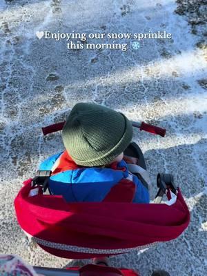 Just a sprinkle of snow! We went out early this morning before it melted. #snow #nc #sprinkle #adventure #fyp #MomsofTikTok #toddlersoftiktok 