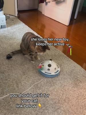 the best interactive toy for cats!! Get it for your cat, you'll never regret it!! #interactivetoy #cat #catsoftiktok #foryoupage  #cats #funny #cute #PetsOfTikTok #pet #creatorsearchinsights #TikTokShop #creator #Tiktokshopfinds#fyp #cattoy #interactive #cats #funny #foryoupage #viral #Lifestyle #pets #pettoy #TikTokShop 