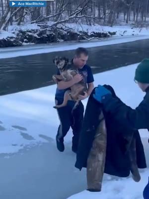 ❤️ 'MY HERO': There was no hesitation for a Vermont man who jumped into the frigid Winooski River in a T-shirt to save a struggling canine. "To some, this may just be a man rescuing a dog, but to me, it's a man rescuing an extension of my soul!" #dog #dogtok #dogsoftiktok #dogs #rescue #vermont #winter