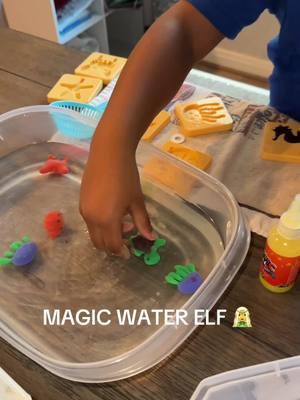 #kidstoys #montisoriathome #kidsactivities #familyactivities #waterelf #watertoys 