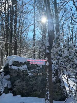 I think she likes it !! #snowsculpture #cats #snowstorm #cabininthewoods 