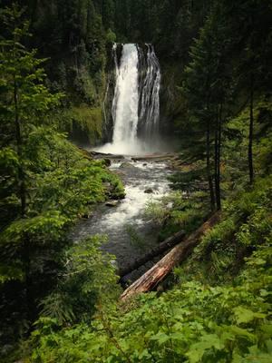 NEW Relaxing Nature Escapes Video available! Immerse yourself in the beauty of this incredible location! Serene, relaxing footage paired with the calming sounds of nature. 🌿🎶 Perfect for unwinding and recharging! Follow the link in my bio/profile to see the full length video 🙏🏻☺️ #nature #Outdoors #cinematic #calm #waterfalls 