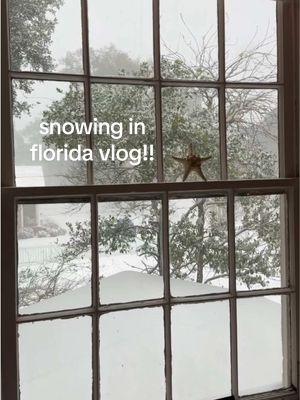 i feel like i’m dreaming it’s so pretty🥹 #florida #snow #Vlog #floridasnow #winter #pensacola #pensacolabeach #30a *tiktok i’m 24*