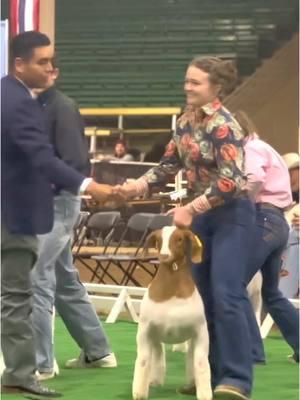 Grand and Reserve at Denver Goat Show 🧹 #stockshowlife #stockshowkids #teamshowrite #livestockshow #showgoats #pinkbags 