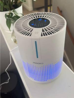 We all could use some back up during cold and flu season!! This baby is super lightweight!! Check her out in my TT shop! #mookaairpurifier #TikTokShop #viralproducts #airpurifier #cleaning #cleanair 