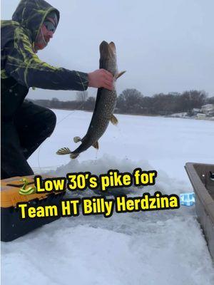 🐍Low 30’s pike for Team HT Billy Herdzina🧊🎣  #htenterprises #icefishing #htent #htice #icefish #fishing #ice #hardwater #ht #fishin #teamht #letsgofishing #fishin #fishon #pike #northernpike #tipup #polartherm #northernpikefishing 