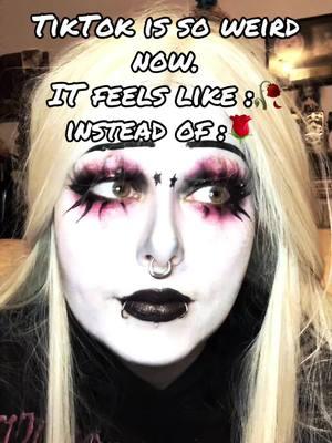 #tiktok #fyp #gothtok #gothfyp #gothmakeup #mua #gothgirl #tiktoker 