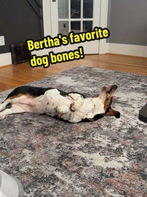 She looooves these Yak Chews. #berthathebasset #yakchews #dogtreat #superdurable #longlasting 