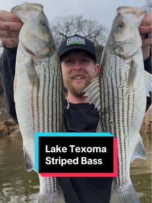 The land of giants 🔥 #stripedbass #laketexoma #bassfishing #fish #texasfishing #kastkinghunter 