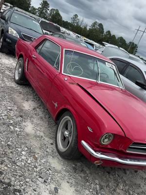 Old School Mustang For Sale At Salvage Auction For $17,000! Get auction access at whdacademy.com or link in bio #copart #salvageauction #autoauction #copartautoauction #salvage #carauction #carauctionflipping #carauctions #usedcardealer #dealerauctions #publiccarauctions #autoauctions #wehustledaily #cardealer #salvagecars #iaa #insuranceauction #insuranceautoauction #dealerauction #auctionaccess