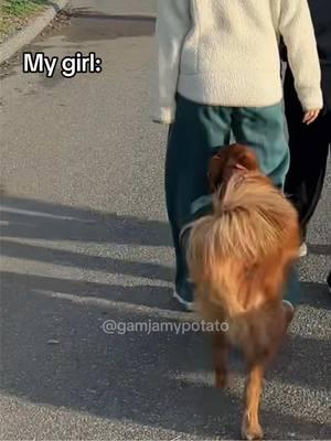 She’s a mama’s girl ❤️ #dogbond#clingydogs#dog#goldenretrievers#girldog#femaledog#dogmama#cuteandfunny#funnydogs#clingydog#mamasgirl 