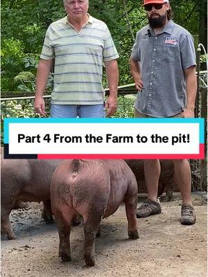 Part 4 from the Farm to the Pit! Follow for part 5. #wholehogbbq #hoglard #bbqtiktok #tictokshopping 