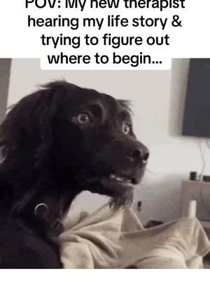 POV: My new therapist hearing my life story & trying to figure out where to begin… #therapy #therapyhumor #therapydog #therapydogs #cutedog #funnydog 