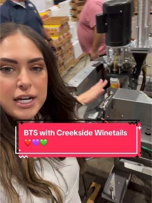 Clearly, she’s a wine maker 😏  All the love has been put into this drink! I want y’all to try it!! Creekside winetails is a wine seltzer that I have partnered with Beans Creek Winery to create for y’all! 🔗 is in my bio! Happy sipping!! 🍷 🍷 #winemaker #dontbeboring❤️💜💚 #whatsmyjob #newdrink #wine 