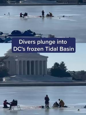 Divers from DC Fire and EMS got a rare opportunity to practice life saving skills in a frozen Tidal Basin.  #WashingtonDC #NorthernVirginia #DMVTikTok #DMVnews #DCtiktok #Virginia #Maryland #DCTidalBasin #DCCherryblossoms #thomasjeffersonmemorial