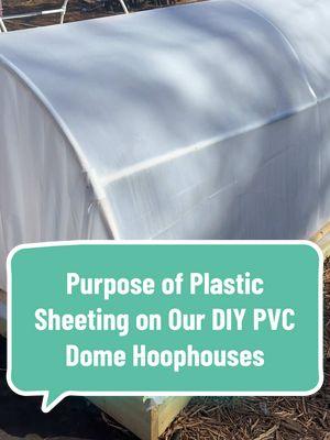 Looking for a way to extend your growing season? Our PVC dome hoop houses with plastic sheeting are perfect for protecting your plants from frost, keeping them warm during chilly nights, and even giving you a head start on spring planting! 🥬❄️  With just a few supplies, you can create your own simple, effective hoop house to shield your crops and keep your garden going strong! 🌱 📌 Check out our pinned reel on our page for easy step-by-step instructions to make one—it’s super simple and totally worth it!  Have you tried using a hoop house in your garden? Let us know in the comments! 👇 #GrowYearRound #GardenHacks #SeedToSpoonApp #PVCHoopHouse #GardeningTips #wintergarden #diygarden #diygardening #hoophouse #gardentips #seedtospoon #fromseedtospoon #growyourownfood 