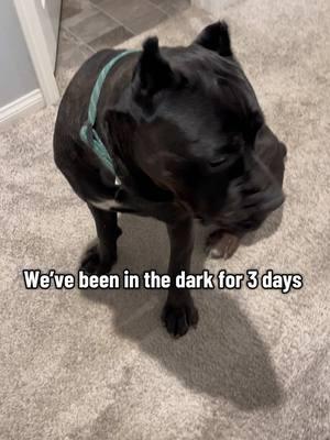 We’ve been in the dark for 3 days 😭  #raisingbane #banethedog 