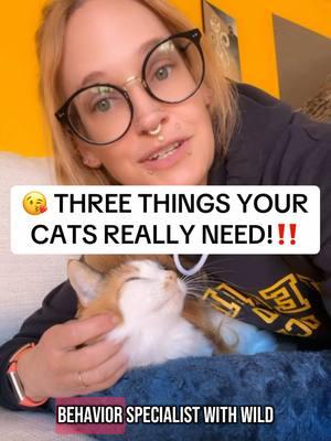 😘 Three Things Your Cats Need & a special message at the end. . . . #cat #catbehavior #catbehaviour #catbehaviorist #certifiedcatbehaviorist #cats #catsofinstagram #behavior #kittybehavior #kitty #behaviour #behaviors #behaviorist #catsareawesome #ilovecats #cattraining #trending #catsoftiktok #cattok #fyp #foryourpage #badcat #badcats #badcatsoftiktok #badcatparent #catsarefunny #catsareweird #fypシ#catsarebetterthandogs #catsarethebest #wildatheartcats #wildatheart #catlover #catlove #catfight #catsfighting #kitten #kittens #kittentok #kittensofinstagram #introducingcats #kittenrescue #catrescue #catcare #trans #translivesmatter #notmypresident 