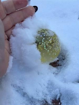 Replying to @♱𝔧𝔲𝔩𝔦𝔞𝔫𝔞♱  I left my sugar ball in the snow overnight #snow #snowball #snowday #squishy 