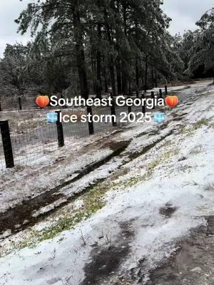 🧊The Southern Ice storm 2025 🧊🍑Southeast Georgia🍑 #georgia #icestorm2025 #thesouth #ice #storm  #Viral #viral🔥 #viral_ #viralchallenge #viral? #viral🖤 #viralsong #tiktok_viral #viraltiktok #viral?? #viral_videos #viral_video #tiktokviral #viralvideo #virales #viralhacks #medanviral #viral2020 #viral_odisha I#viral_video_tiktok #mainanviral #viralvide #newviral #pulseviral #viral2021 #hantuviral #viralperu #viralvibes #dramaviral #viralsihort #fy #fyp #fypシ #fypシ゚viral #fypage #fyppppppppppppppppppppppp #fypp #fypchallenge #fypsounds #like #likelike #like❤️ #likeforlike #likes #liketiktok #like4like #like_ #likeproblem😓 #1like #kilolike #like4 #likeme #likez #like? #likeido #likee #like?? #likeit #likehousebr #damelike #likefor #ulike #lovelike💕💞 #foryourlike #plzlike #dejatulike #sendmelike #sendlikeme #denlelike #rednote #foryoupage #foryou_page #for_you_page #for_youpage #foryoupage_ #foryoupage🔥 #fouryoupage #foryoupage? #_foryoupage #foryoupage❤ #foryourpage #foryoupage❤️❤ #foryoupage❤️❤️ #foryoupage____ #foryoupages #foryoupage❤❤ #foryoupage❤️ #fforyoupage #foryoupage😍 #foryoupage💙 #foryoupageシ #foryyoupage #foryoupagechallenge #foreyoupage #foryoupage। #foryoupagepage #foruyoupage #foryoupageoficial #officialforyoupage #fypforyoupage #foryou #foryou_ #foryou❤️ #foryou? #foryou🔥 #foryou❤ #foryou🖤 #foryou😂😂 #foryou💔 #🥰foryou #foryouforyou #foryou__ #foryou?? #for_you_ #_foryou #foryouchallenge #for___________you #foruyou #foryouu #foryour #foryoupage #for_you_page #foryou_page #ForYouPelikula #foryou4 #foryoux #foryyou #foryougreece #foryouuu #foryouisrael #military #unitedstates #militaryspouse #milspouse #navywife 