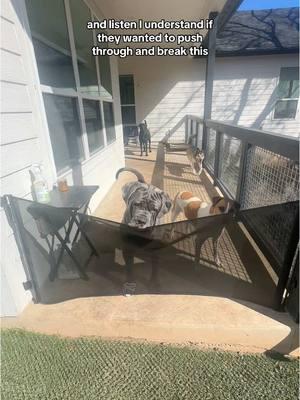 new & improved dog gate for the back porch 🐶✨ #dogmom #doggate #lifewithdogs #Home #backyard #babygate #DogTraining 