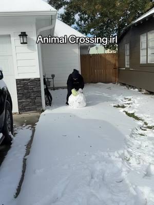 Isabelle would be proud 🐶 #animalcrossing #fyp #animalcrossingnewhorizons #tomnook #isabelleanimalcrossing #snowday #texassnow #setx #snowingintexas 