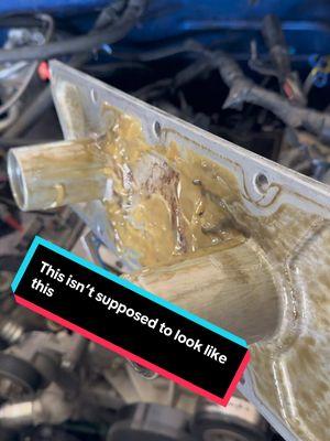 Coolant or water where there should be oil #mamalona #cateye #cateyechevy #singlecab #ls #chevy #chevytrucks #chevysilverado #broken #headgaskets #coolant #opps #notmyfault 