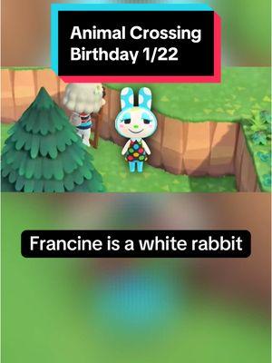 In Animal Crossing on January 22nd, it’s Francine’s birthday! Happy birthday Francine! #animalcrossing #animalcrossingnewhorizons #animalcrossingswitch #switch #nintendo #nintendoswitch #switch2 #animalcrossingbirthday #January22nd #January22 #Francine #animalcrossingFrancine #Francineanimalcrossing #acFrancine #Francineac #funfacts #DidYouKnow #animalfunfacts #rabbit #rabbits #cute #cuteanimals #gaming #GamingOnTikTok #gamingonyoutube #birthday #happybirthday #cozygames #cozygaming #cozygamer