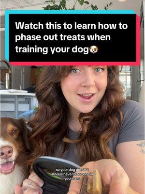 Leave any Q’s in the comments!  #dogtreats #puppytiktok #howtotrainmydog #dogs 